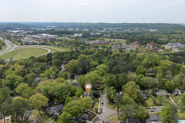 1119 Crest Ave, Homewood, AL 35209 - drone / aerial view