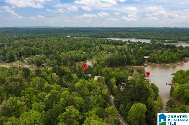 aerial view featuring a view of trees and a water view