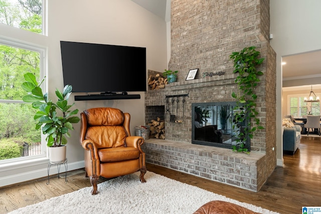 5448 Palomino Trl, Birmingham, AL 35242 - living area featuring high vaulted ceiling, a fireplace, and wood finished floors