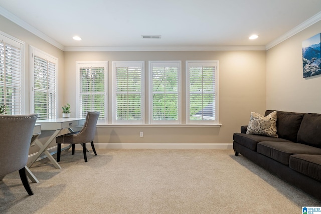 5448 Palomino Trl, Birmingham, AL 35242 - carpeted home office with crown molding, baseboards, visible vents, and recessed lighting