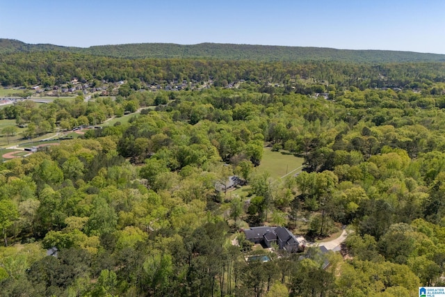 5448 Palomino Trl, Birmingham, AL 35242 - drone / aerial view featuring a view of trees