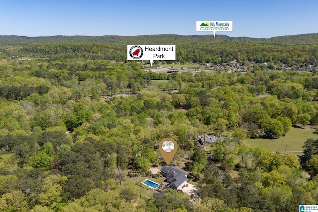 5448 Palomino Trl, Birmingham, AL 35242 - birds eye view of property with a forest view
