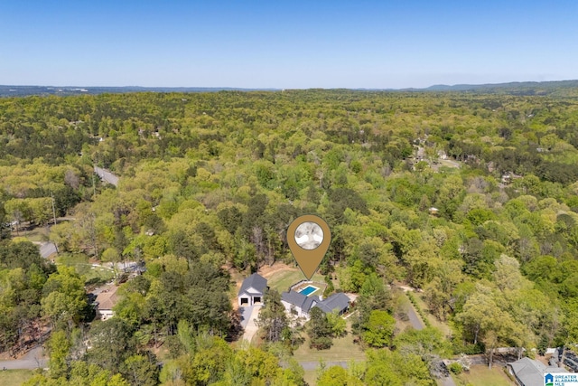 5448 Palomino Trl, Birmingham, AL 35242 - drone / aerial view featuring a view of trees