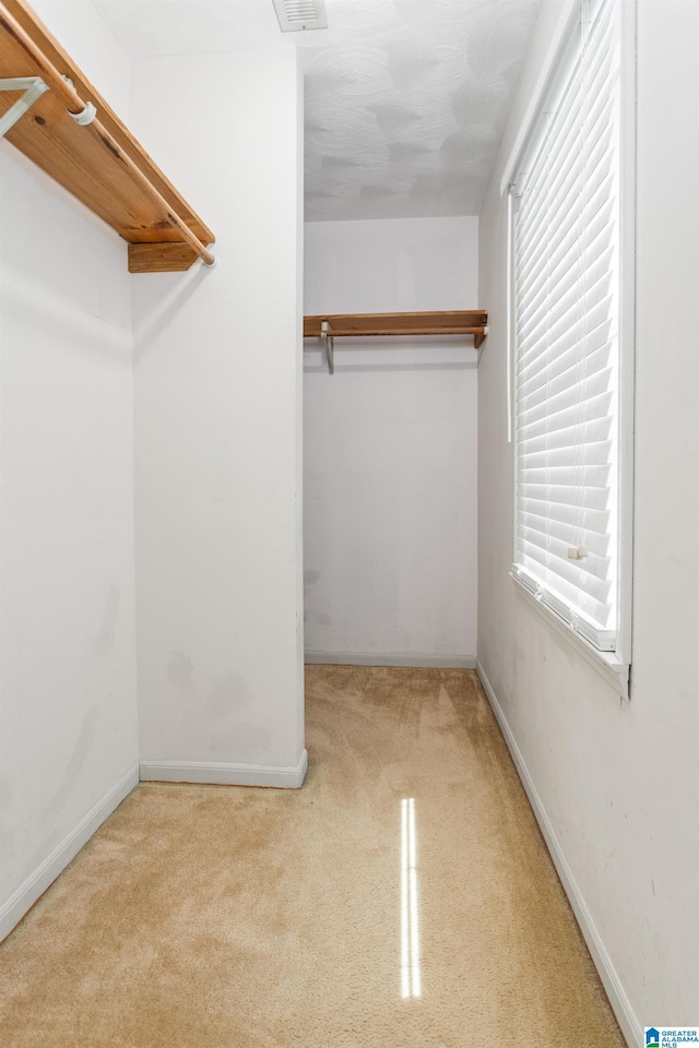 walk in closet featuring carpet flooring