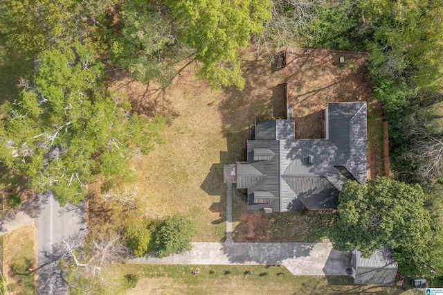 bird's eye view