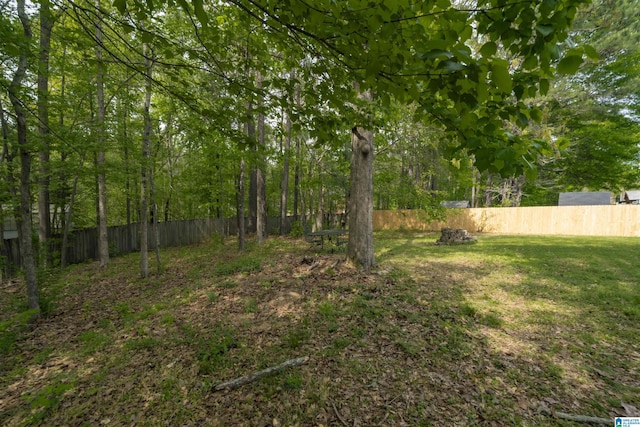 view of yard featuring a fenced backyard