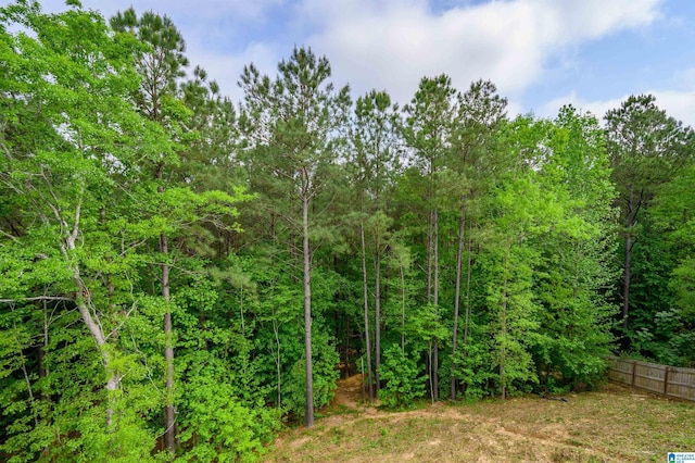 view of nature with a wooded view