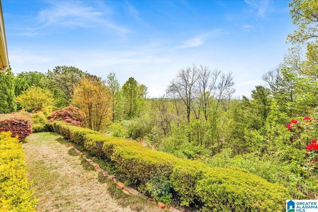 5592 Summit Pointe, Pinson, AL 35126 - view of nature featuring a view of trees