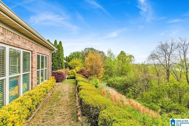 5592 Summit Pointe, Pinson, AL 35126 - view of yard