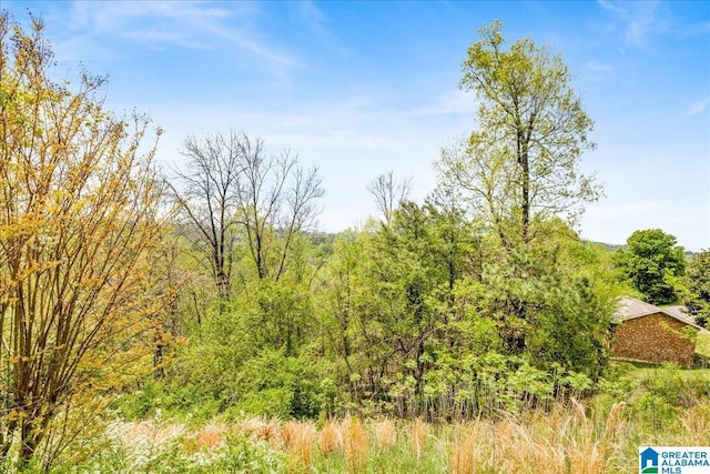 5592 Summit Pointe, Pinson, AL 35126 - view of landscape with a forest view