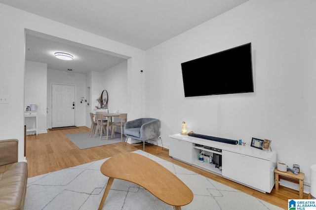 living room featuring light wood finished floors