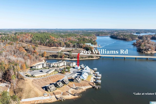 299 Williams Rd, Alexander City, AL 35010 - birds eye view of property with a water view and a wooded view