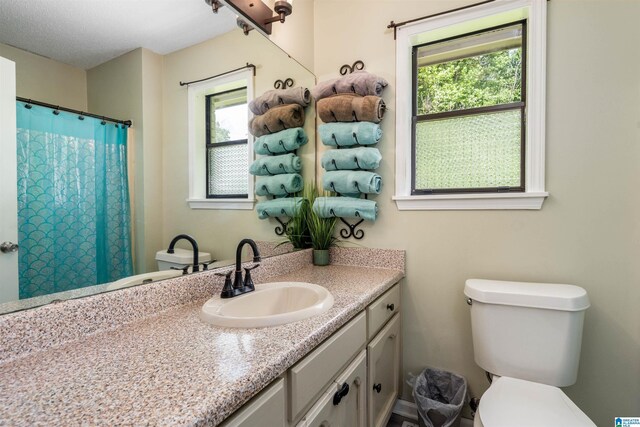 13563 Date St, Northport, AL 35475 - full bath featuring a healthy amount of sunlight, toilet, a shower with curtain, and vanity