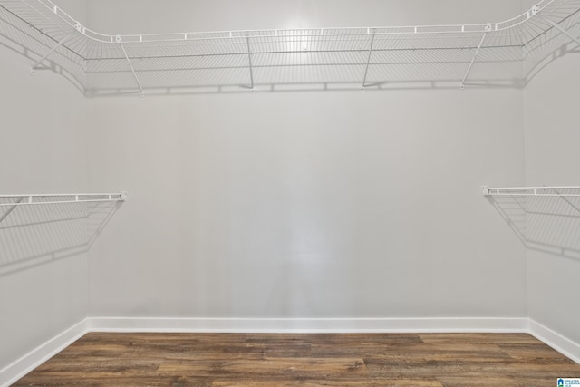 spacious closet with dark wood finished floors