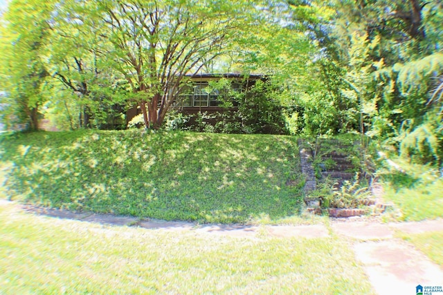 440 12th St W, Birmingham, AL 35208 - view of yard