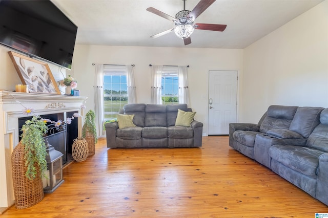 living room featuring ceiling fan and wood-type flooring