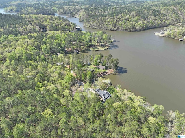 bird's eye view with a water view and a view of trees