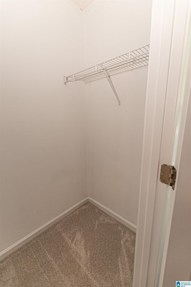 walk in closet featuring carpet floors