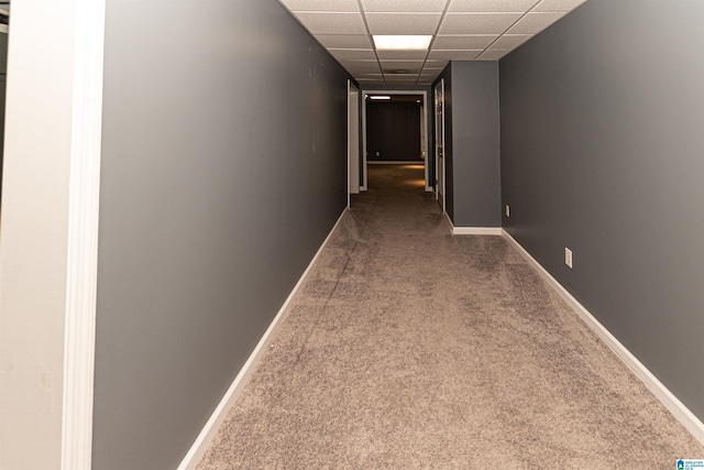 hallway featuring baseboards, carpet flooring, and a paneled ceiling