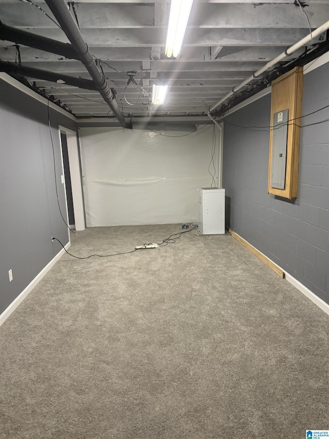 unfinished basement with carpet and electric panel