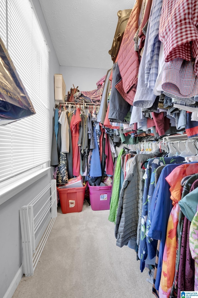 913 Falling Star Ln, Alabaster, AL 35007 - walk in closet featuring carpet floors