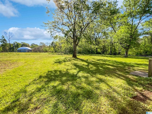 3 Holt Ave, Birmingham, AL 35214 - view of yard