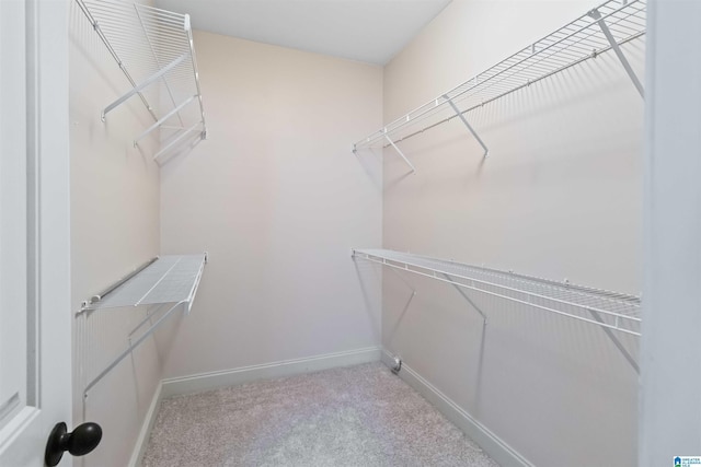 walk in closet with carpet flooring