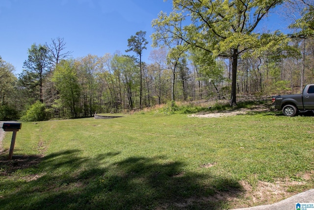 133 Cedar Bend Cir, Remlap, AL 35133 - view of green lawn