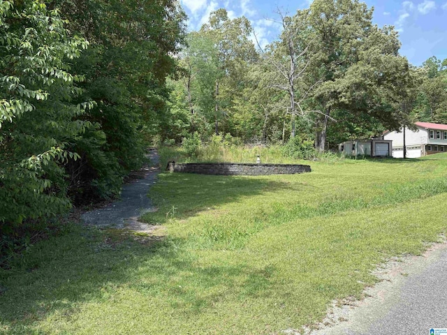133 Cedar Bend Cir, Remlap, AL 35133 - view of green lawn