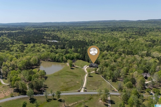 aerial view with a water view and a wooded view
