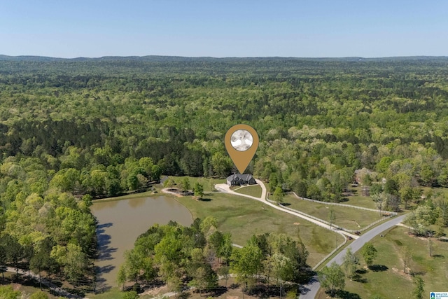 birds eye view of property featuring a view of trees and a water view