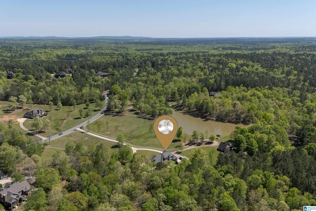 drone / aerial view featuring a wooded view