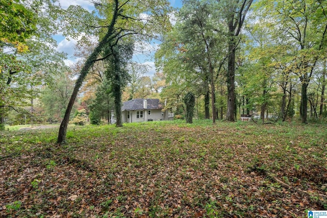 686 Ridge Top Cir, Birmingham, AL 35206 - view of yard