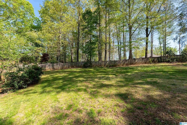 7717 Clayton Cove Pkwy, Clay, AL 35126 - view of yard with fence