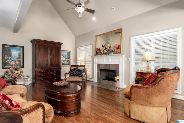 7717 Clayton Cove Pkwy, Clay, AL 35126 - living area featuring high vaulted ceiling, a fireplace, a ceiling fan, and wood finished floors
