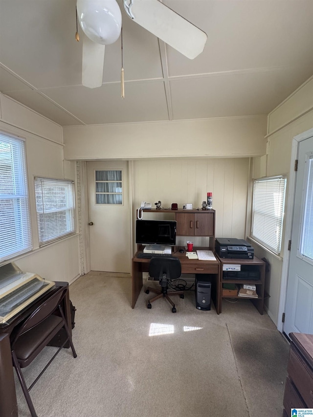 office space featuring carpet flooring