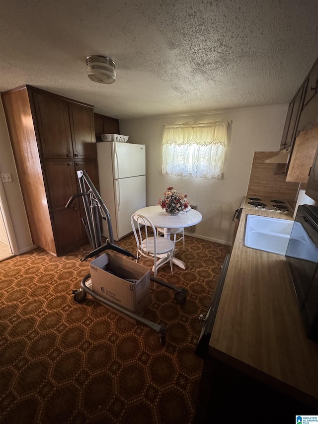kitchen with a sink, baseboards, freestanding refrigerator, and a textured ceiling