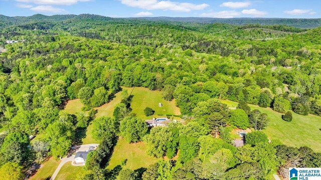 bird's eye view with a view of trees