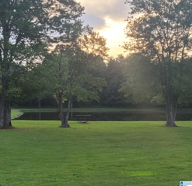 view of community with a water view and a yard