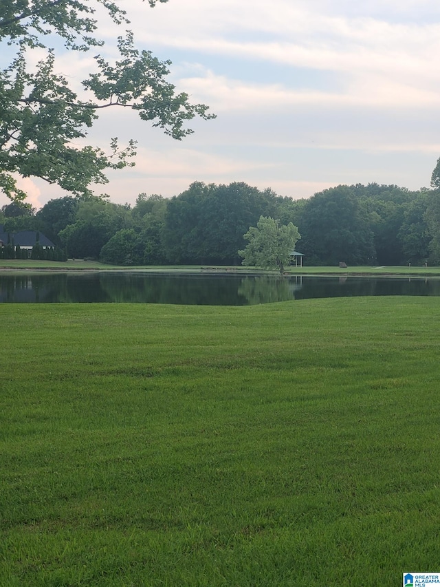 view of yard with a water view and a forest view