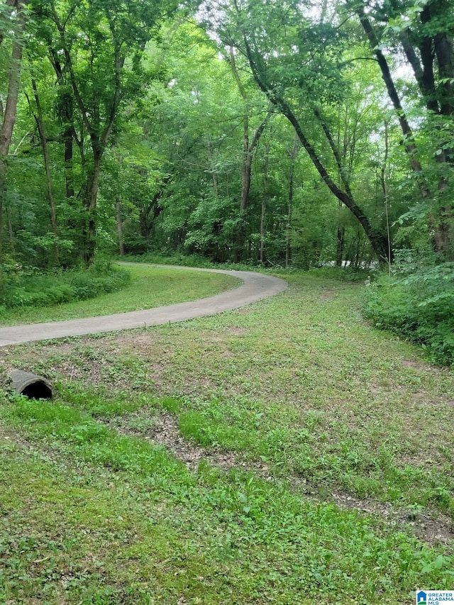 view of yard with a forest view