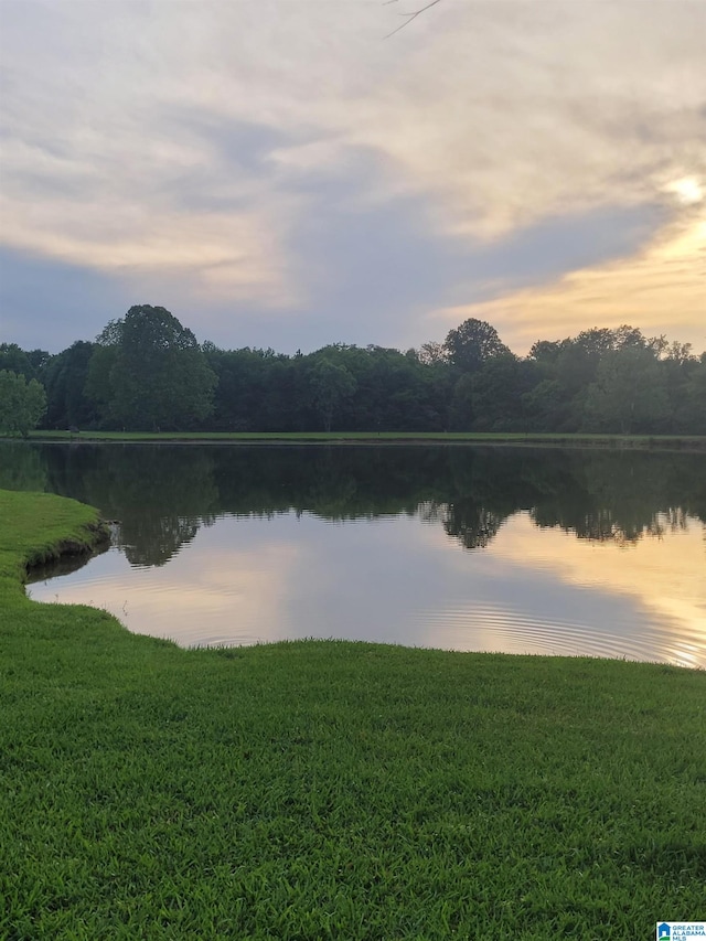property view of water featuring a wooded view