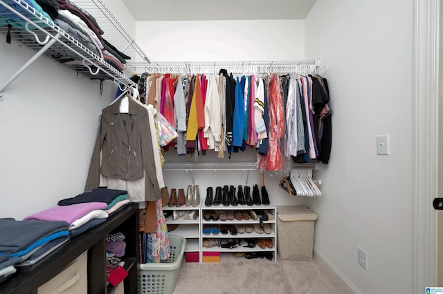 spacious closet with carpet flooring