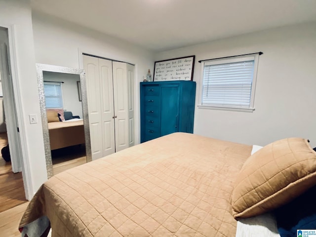 bedroom featuring wood finished floors and a closet