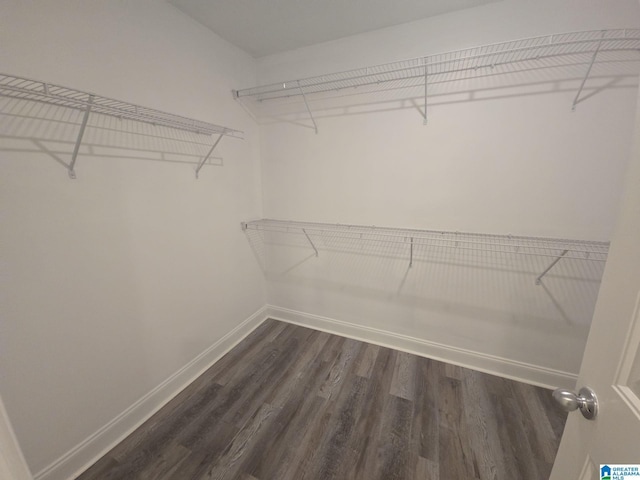 walk in closet with dark wood-style flooring