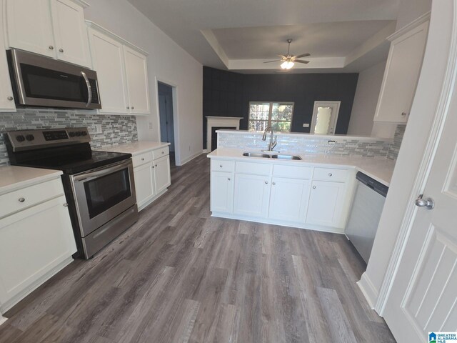 kitchen with white cabinets, appliances with stainless steel finishes, wood finished floors, a sink, and a raised ceiling
