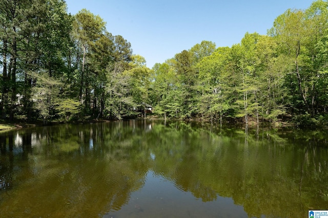 1776 Southpointe Dr Unit 35, Hoover, AL 35244