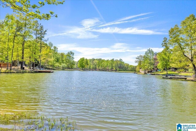 2092 Grey Oaks Ter, Pelham, AL 35124 - water view