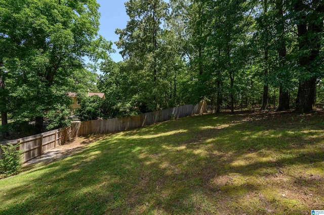 5001 Mountain View Pkwy, Birmingham, AL 35244 - view of yard