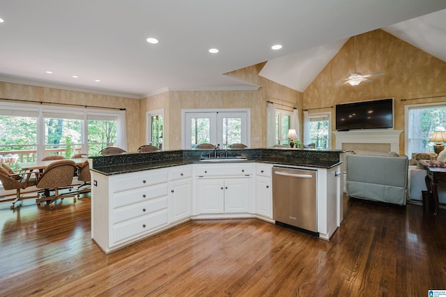 4527 High Court Cir, Hoover, AL 35242 - kitchen with stainless steel dishwasher, open floor plan, a sink, and a healthy amount of sunlight